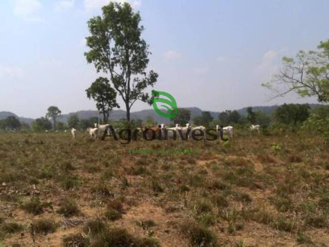 #152 - Fazenda para Venda em Barra do Ouro - TO - 2