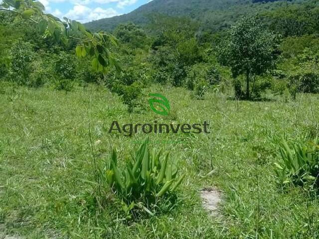 Venda em Zona Rural - Goiás