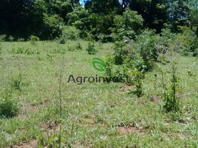 #291 - Fazenda para Venda em Goiás - GO - 2