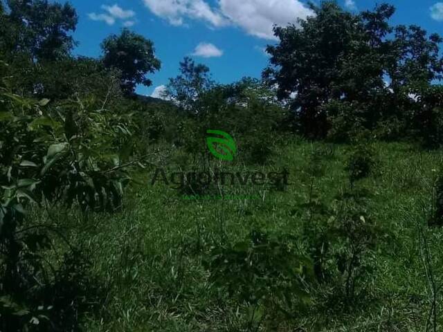 Fazenda para Venda em Goiás - 5