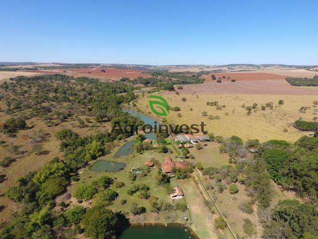 Sítio para Venda em Bela Vista de Goiás - 4