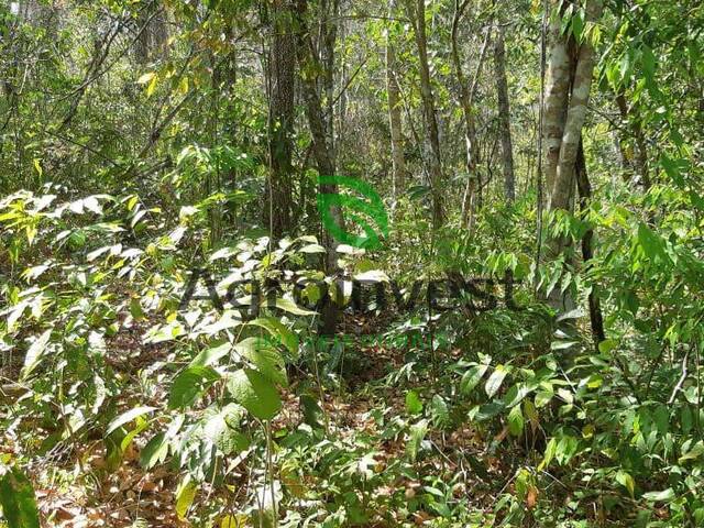 Fazenda para Venda em Paranã - 4