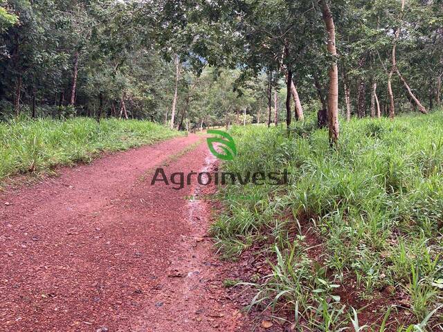 Chácara para Venda em Pirenópolis - 5