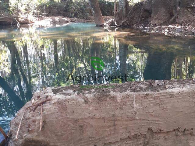 Venda em Zona Rural - Pirenópolis