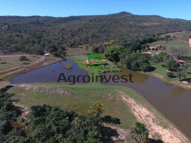 Fazenda para Venda em Ipameri - 5