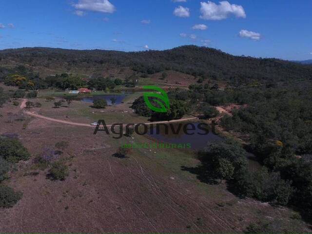 Fazenda para Venda em Ipameri - 4