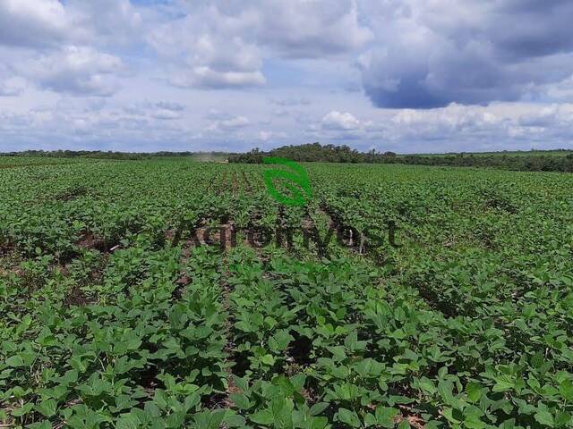 #641 - Fazenda para Venda em Barra do Ouro - TO