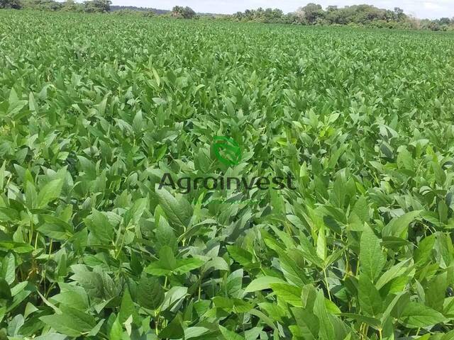 Fazenda para Venda em Barra do Ouro - 5