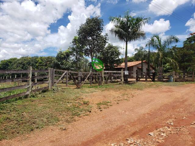 Chácara para Venda em Terezópolis de Goiás - 5