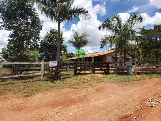 Chácara para Venda em Terezópolis de Goiás - 4