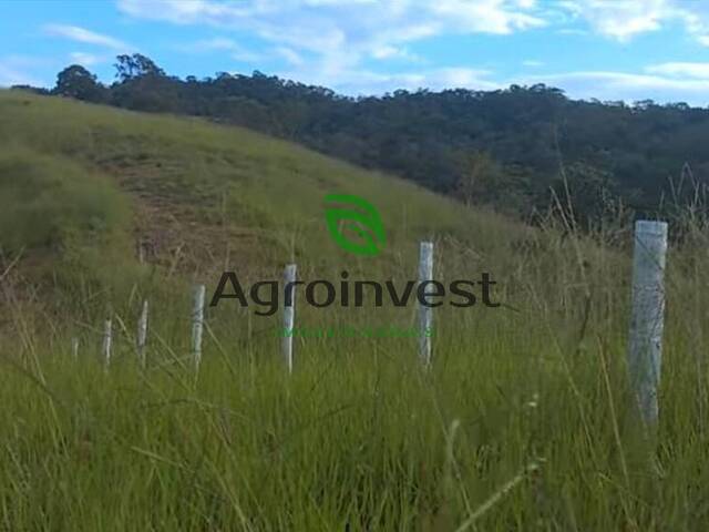 #690 - Fazenda para Venda em São Miguel do Passa Quatro - GO - 3