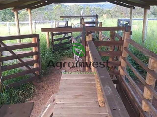 Venda em Zona Rural - São Miguel do Passa Quatro