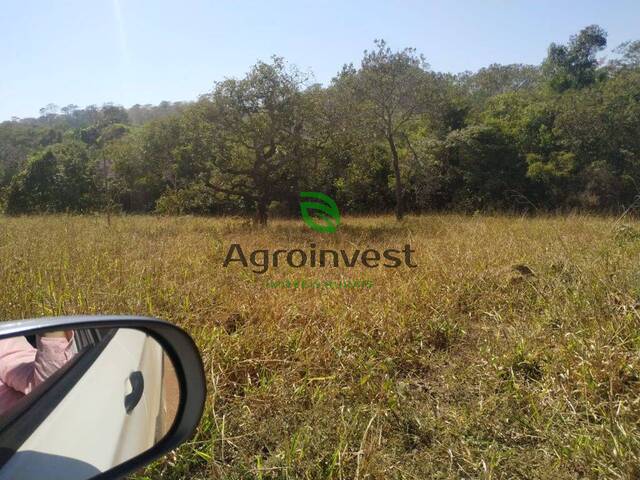 Fazenda para Venda em Pires do Rio - 4