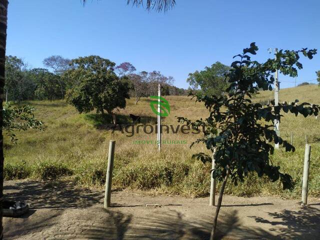 Fazenda para Venda em Pires do Rio - 5