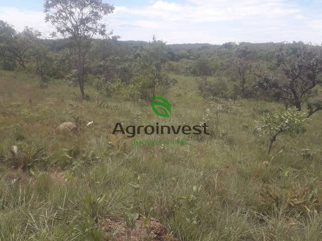 Venda em Zona Rural - Cavalcante