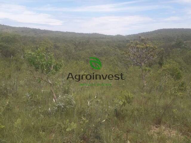 Fazenda para Venda em Cavalcante - 5