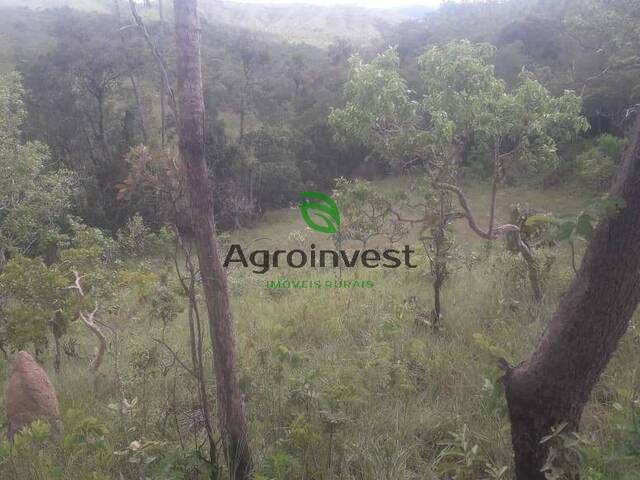 Fazenda para Venda em Cavalcante - 4