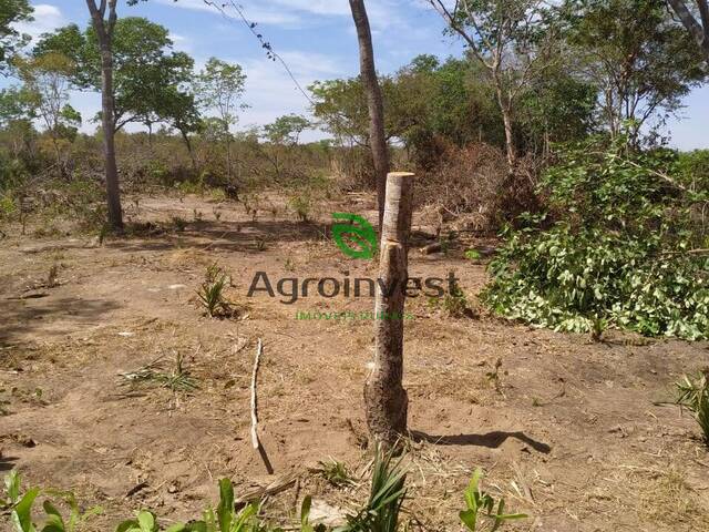 Venda em Zona Rural - Gilbués