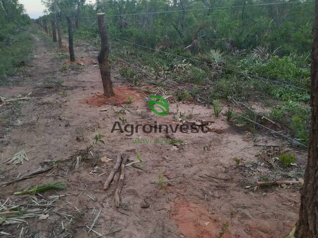 #721 - Fazenda para Venda em Gilbués - PI - 2