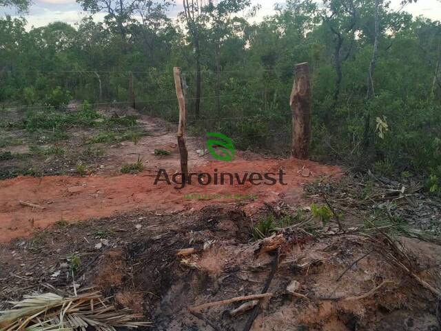 Fazenda para Venda em Gilbués - 4