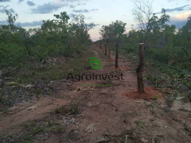 Fazenda para Venda em Gilbués - 5