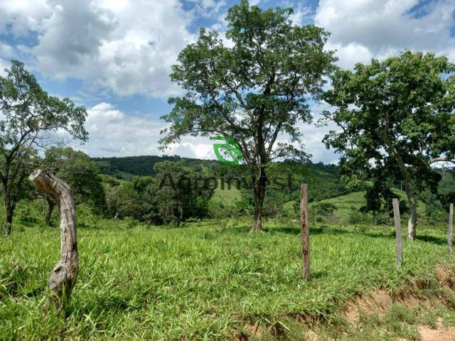 #733 - Fazenda para Venda em São Miguel do Passa Quatro - GO - 2