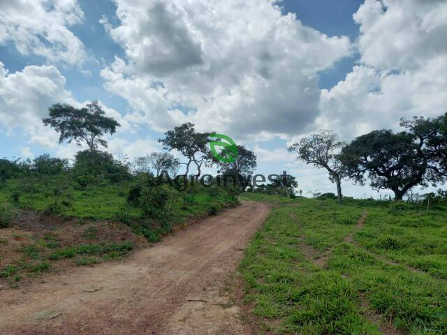 #733 - Fazenda para Venda em São Miguel do Passa Quatro - GO - 3