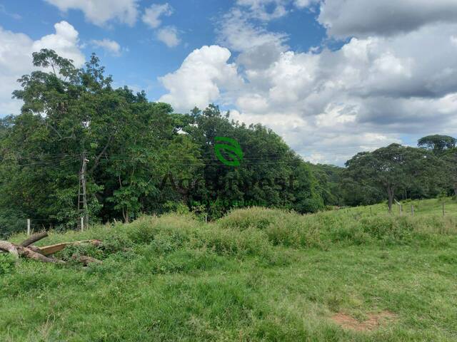 Fazenda para Venda em São Miguel do Passa Quatro - 4