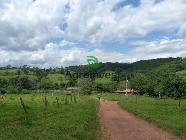 Fazenda para Venda em São Miguel do Passa Quatro - 5