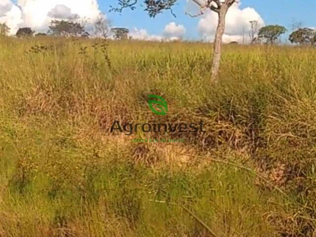 Sítio para Venda em Santa Cruz de Goiás - 4