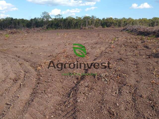 Fazenda para Venda em Nova Crixás - 4