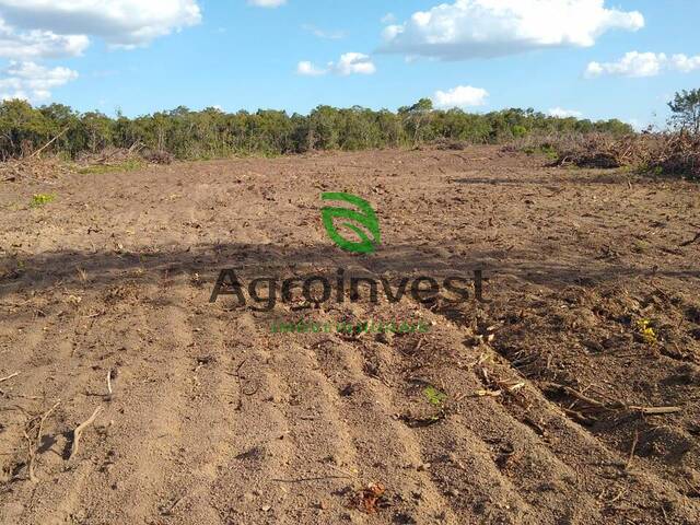 Fazenda para Venda em Nova Crixás - 5