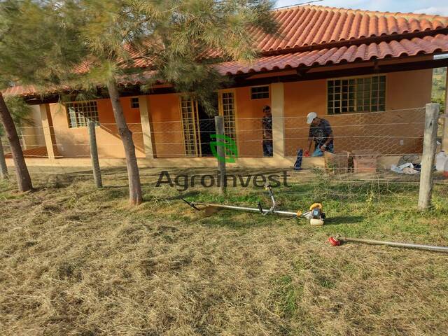 Venda em Zona Rural - São Miguel do Passa Quatro