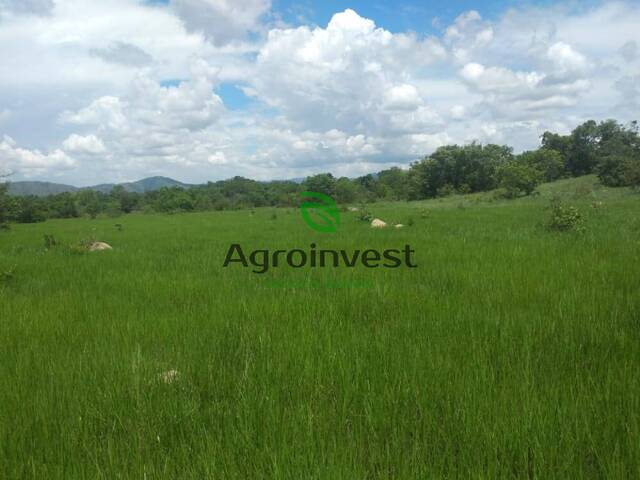 Venda em Zona Rural - Niquelândia