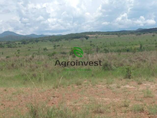 Fazenda para Venda em Niquelândia - 4