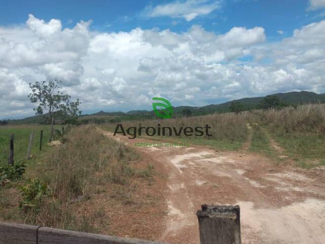 Fazenda para Venda em Niquelândia - 5