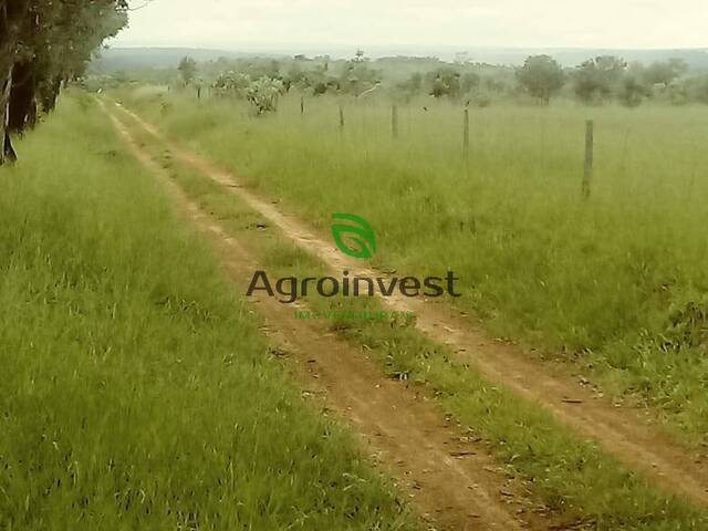 Venda em Zona Rural - Niquelândia