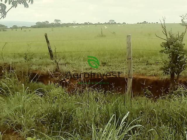 Fazenda para Venda em Niquelândia - 4