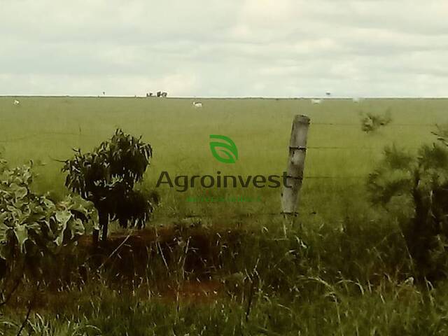 Fazenda para Venda em Niquelândia - 5