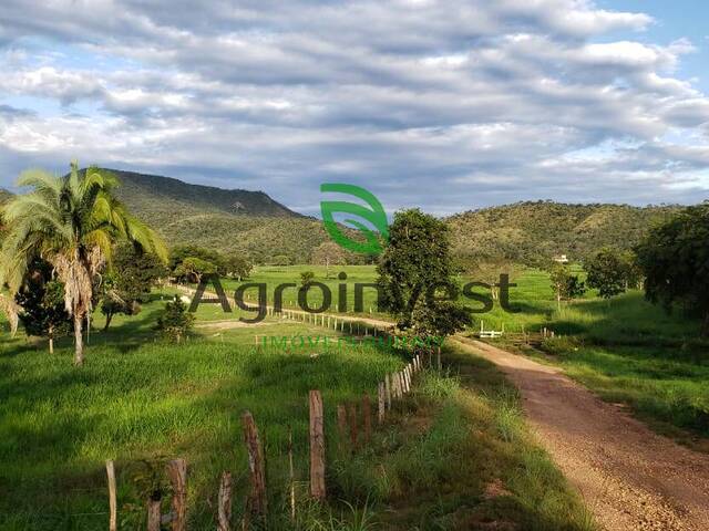 Venda em Zona Rural - Niquelândia