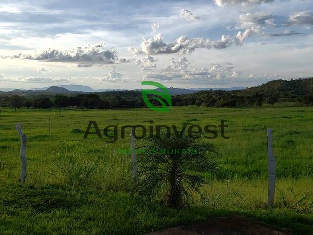 Fazenda para Venda em Niquelândia - 4