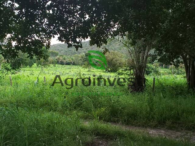 Fazenda para Venda em Niquelândia - 5