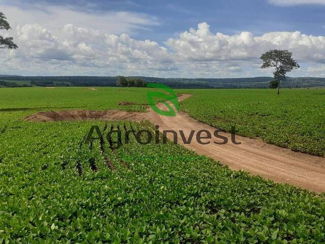 Venda em Zona Rural - Doverlândia