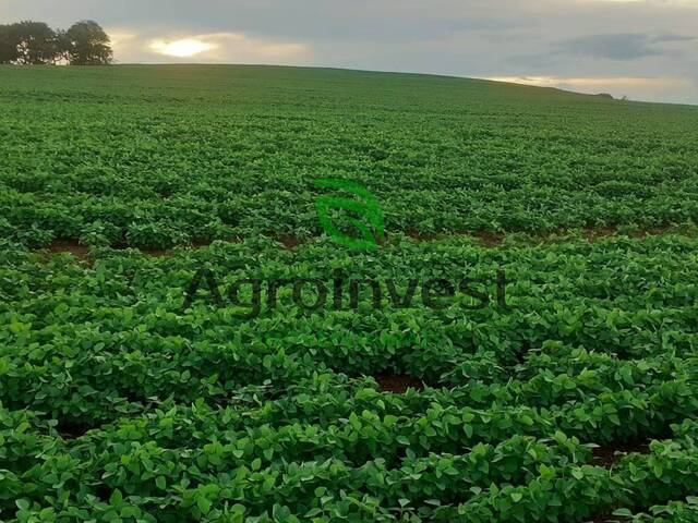 #773 - Fazenda para Venda em Doverlândia - GO - 2