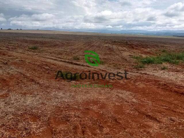 Fazenda para Venda em Doverlândia - 5