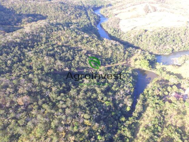 #780 - Fazenda para Venda em Santa Cruz de Goiás - GO - 3