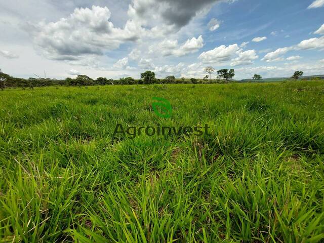 Fazenda para Venda em Niquelândia - 5