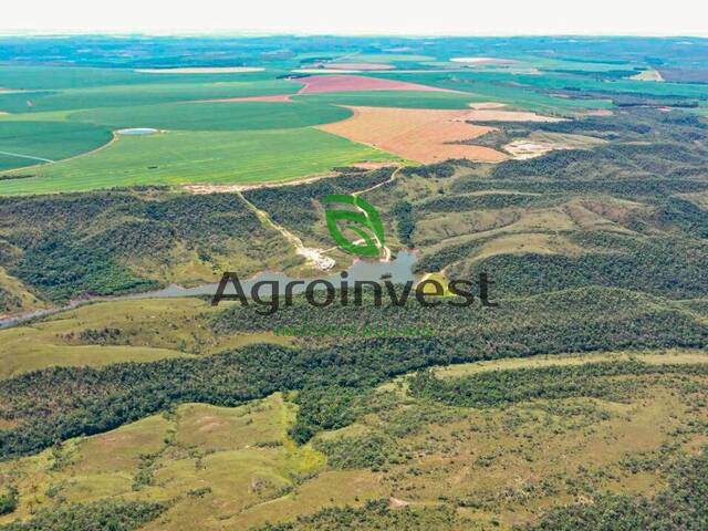 #783 - Fazenda para Venda em Niquelândia - GO - 1