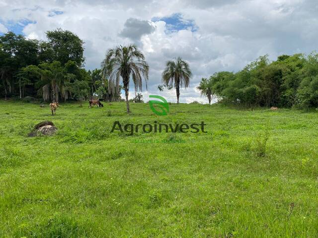 Venda em Zona Rural - Uruana