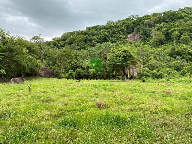 Chácara para Venda em Uruana - 4